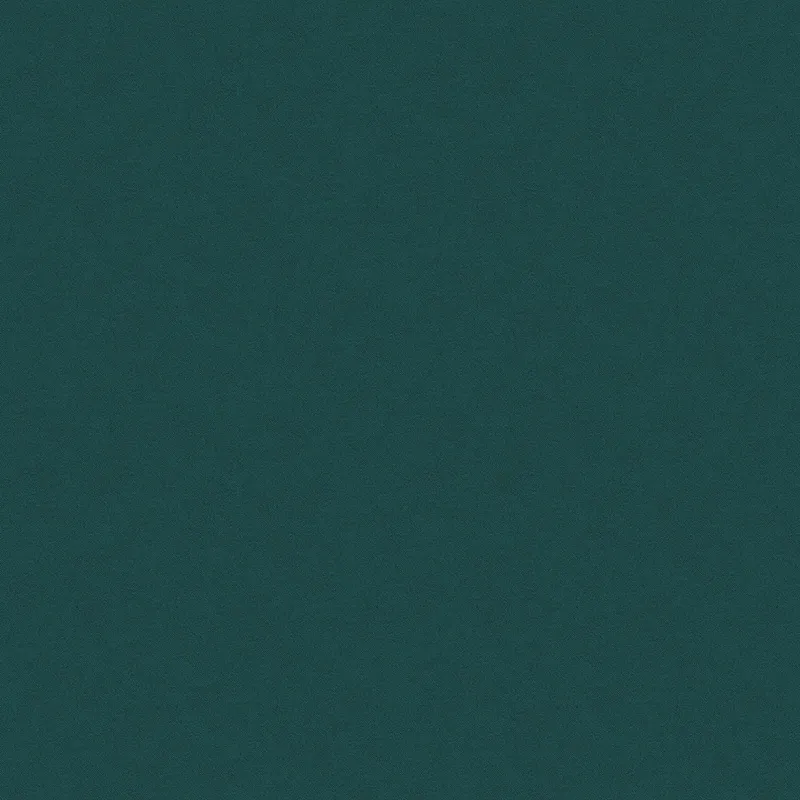 INF0066