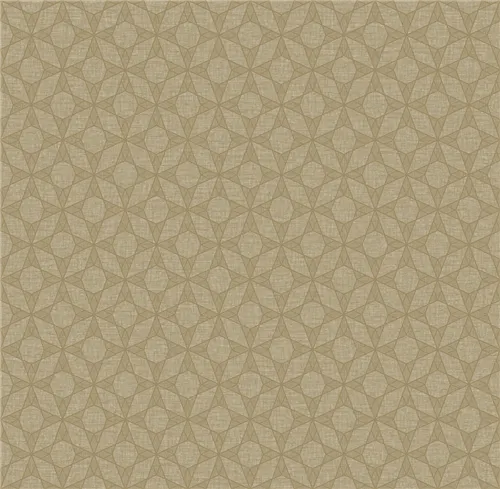 MT678704