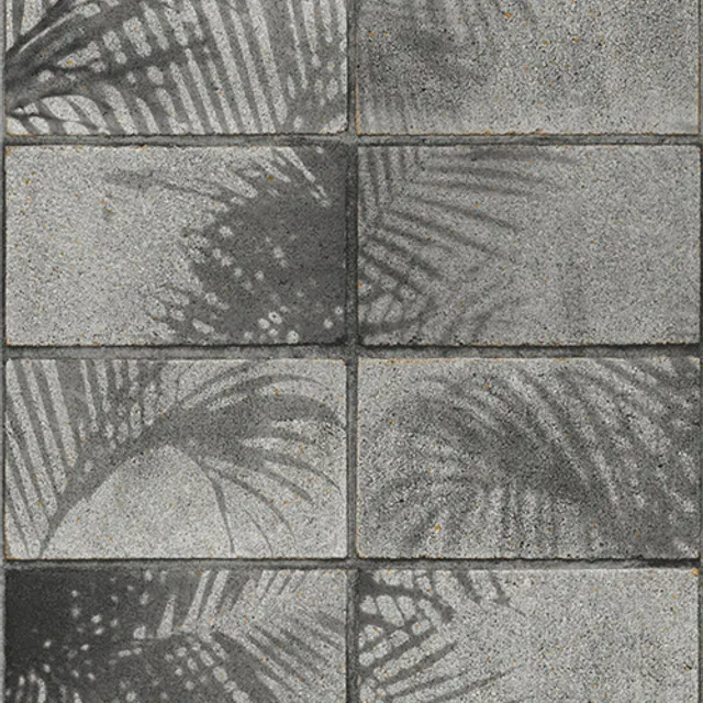 SN998211