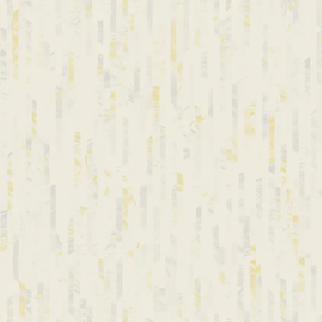 SN998281