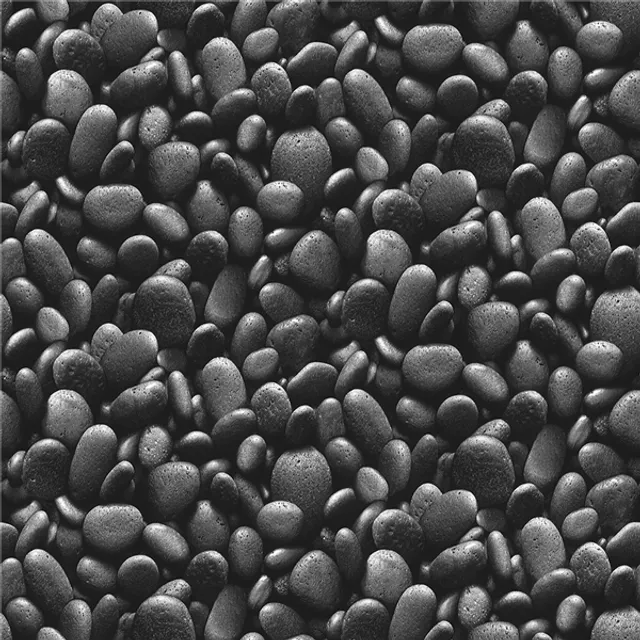 SN0601